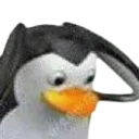 fuck