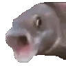OOOO