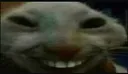 xdd