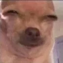 aha