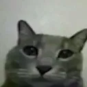 bruh