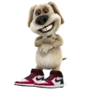 buddyben