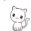catblossom Discord emoji