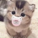 cat_baby Discord emoji