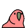 rainbowbird