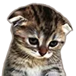 SadKitty