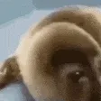 HeWasForcedToEatCement