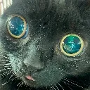 jinxmlem