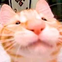 hehe