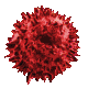 rgbtree Discord emoji