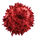 rgbtree rgbtree