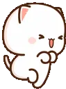 excitedcat