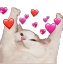DGcatHearts Discord emoji