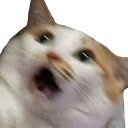 DGcatHelp Discord emoji