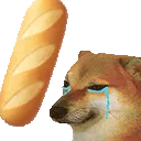 DGbonkDoge