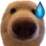 DGdogNervous Discord emoji