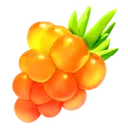 food_comida
