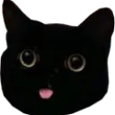cat_blep cat_blep