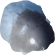 HampterInv
