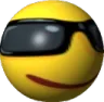 sunglass