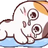 cat_cry