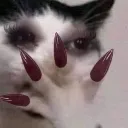 __
