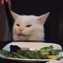 veggiecat Discord Emoji