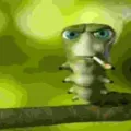 gangsta