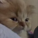 emoji_46