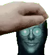 petmodus