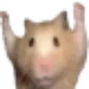 yay
