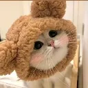 meow meow