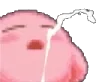 kirbysplooge