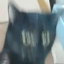 OOOOO