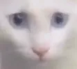 concern