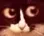 Catwut