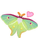 MothLove