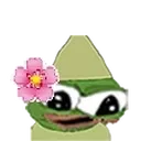 Danki