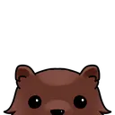 BearPeek BearPeek