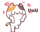 UwU_cat