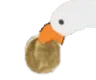 stealgil