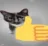 Bg_CatThumbUp