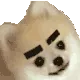 WinkWink