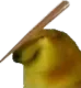 Bonk