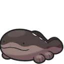 CutesireFRI