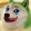 DogeSociety DogeSociety