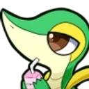 snivySip