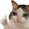 iTzu_SadCatThumbsUp