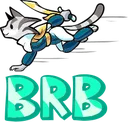 bhallaMetadevAsuriBRB