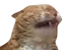 1OOF